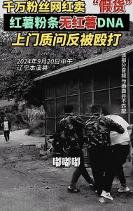 东北雨姐维权事件后续：厂家回应引争议本溪公安处理方式受质疑