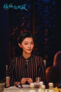 央视八套《依依向北风》今晚开播，镇江句容取景，句容三中再入热门剧！