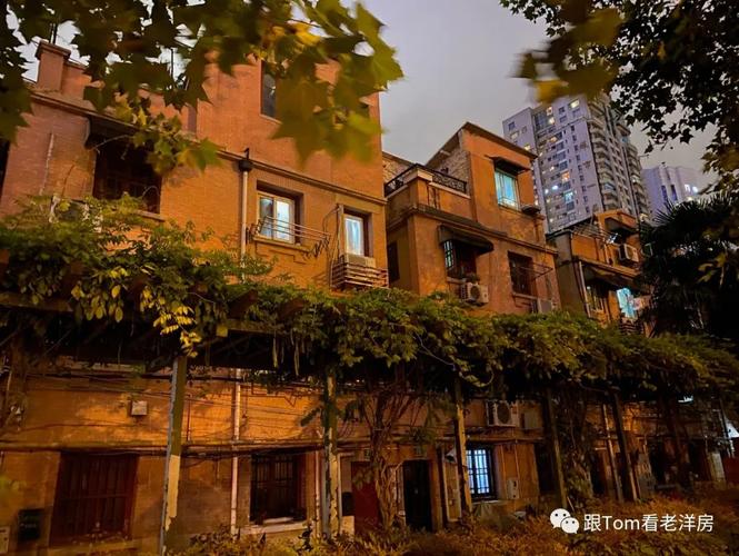 央视纪录片《梧桐树下老房子》 上海老房子故事 央视纪录片《梧桐树下老房子》 上海老房子故事