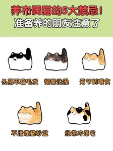 养猫的十大禁忌_安全舒适，清洁饮食，耐心陪伴，健康幸福