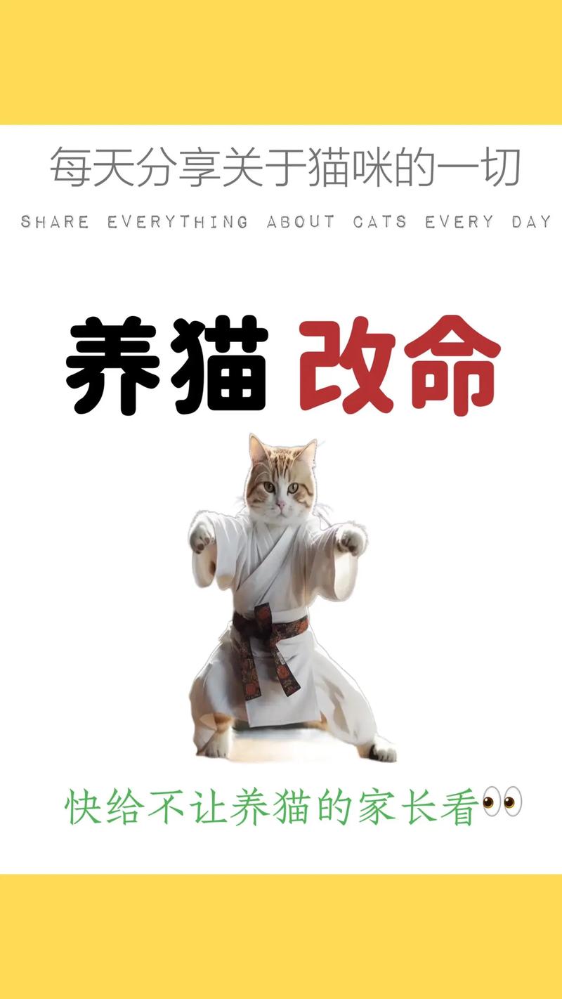 养猫会带来什么运气_养猫招财保安，带来好运与平静