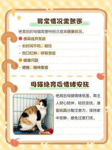 养母猫的十大忠告_母猫性格独立需耐心，选猫看性格不重价