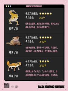 2025年中国爬宠种类排名_10种好养耐养的爬行动物