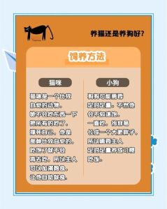 第370期线上领养，流浪猫狗待家，健康情况全介绍