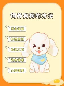 怎么样养狗的_选对犬种科学喂养，幼犬准备基础训练，日常护理定期体检，养狗是长期责任