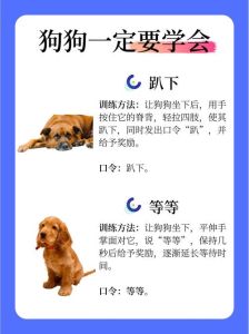 小狗爱捉迷藏，因信任主人呼唤，玩时用欢快语调唤，及时奖励，注意安全，可进阶游戏