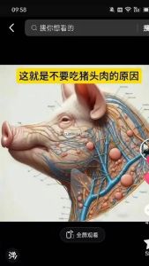 洪水饿瘦猪现马甲线，胖狗靠吃屎活命引网友调侃