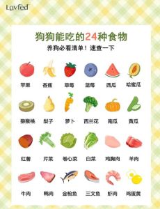 狗狗能吃的十大水果_苹果香蕉蓝莓，哪些要去皮？