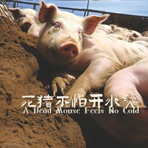 洪水后猪瘦狗胖引热议，生存面前无对错