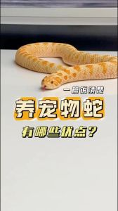 养蛇久了蛇有感情吗_蛇缠主人是本能非爱情，需警惕安全
