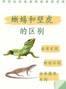 节肢动物是爬宠吗_节肢宠物虽受欢迎，但非爬宠，养前须知！