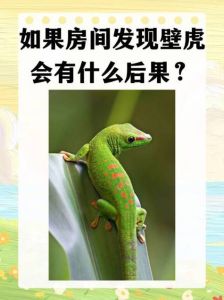 家里的壁虎能打死吗_吉祥益虫，请保护它！