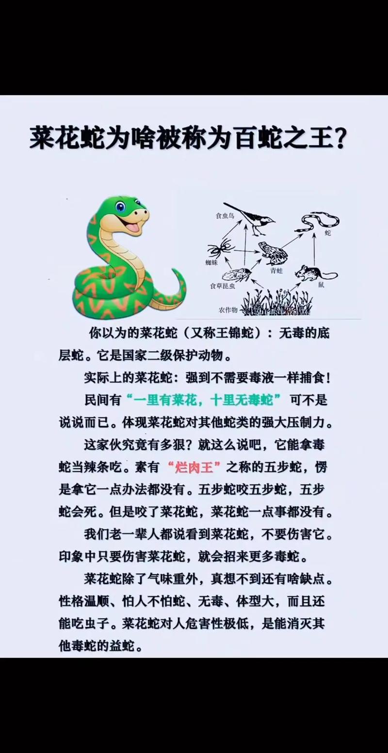国内养什么蛇不犯法_养蛇要合法选小蛇，健康护理是关键，居民区不合适