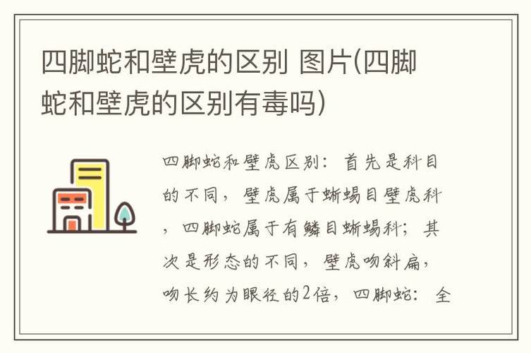 蜥蜴目和有鳞目区别_有鳞目分类全解析