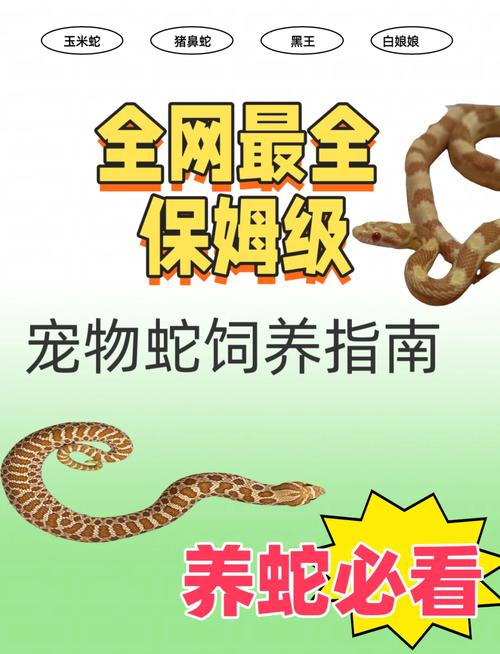 养宠物蛇会认主人吗_宠物蛇不认人？习性解读与饲养乐趣