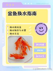 金鱼喜欢温水还是凉水_金鱼舒适水温20-28℃，低高皆有害，细心观察保健康