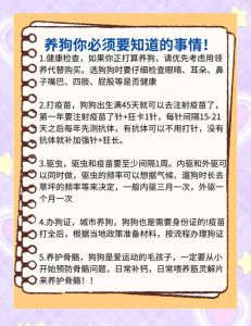 广西区养狗规定_狂犬免疫登记，重点区限养禁养，违者罚款！