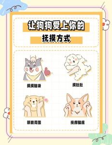 狗狗让你摸头说明什么_狗狗让你摸头，它信任你！