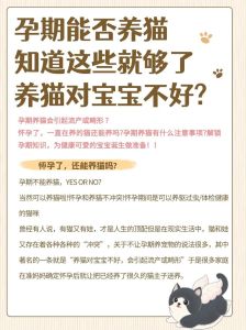 养猫不容易怀孕吗_养猫怀孕要注意弓形虫，别让爱猫影响好孕！