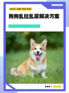 狗狗憋不住尿的解决方法_狗狗尿频憋不住？肾衰中毒都有关，合理饮食规律排泄是关键