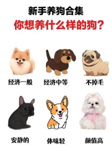 全民养狗狗_满足都市人的情感寄托，轻松有趣获奖励