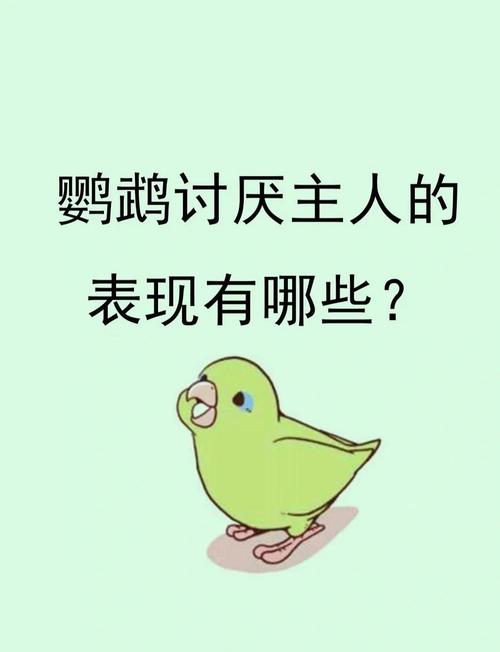 厌恶养爬宠的人是什么心理_克服文化误解与接受挑战