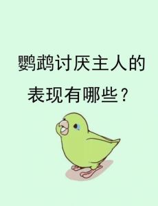 厌恶养爬宠的人是什么心理_克服文化误解与接受挑战