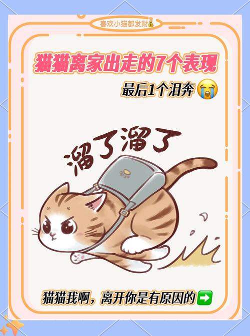 猫走失回来是吉兆嘛_走失猫回家是吉兆，象征好运与家庭和睦