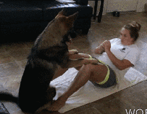 狗子闭锁原理图3D动态演示_公狗交配的生理机制