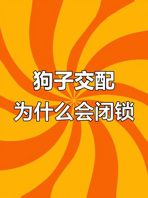 狗锁原理图片_融合机械与艺术的守护者