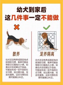 养幼犬需要注意什么_选好粮水盆玩具，科学喂养防毒物，疫苗驱虫勤观察，社会化训练不可少！
