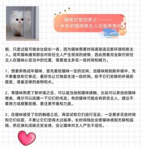 3岁的猫换主人养的熟吗_三岁猫换主人能否养熟？耐心引导建信任，时间会证明