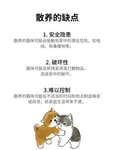 散养猫三天没回来还会回来吗_冷静等几天，观察安抚找附近，寻猫启事别放弃