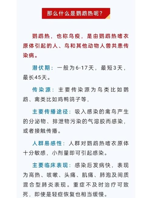 鹦鹉得鹦鹉热的概率_家养鹦鹉感染鹦鹉热的预防要点