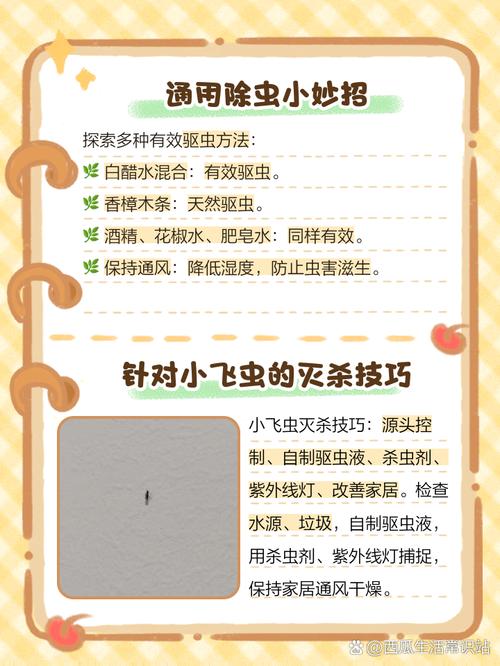 快速育虫方法_牛粪豆腐渣麦糠育蛆养鸡，低成本高效益！