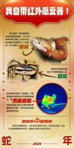 蛇类百科大全_有凶猛无毒蛇，也有致命毒蛇，生态价值与文化象征并存