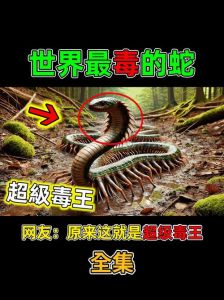 什么蛇最毒 第一名_最毒蛇排名未定，LD50值越小说毒性越强，数据仅供参考