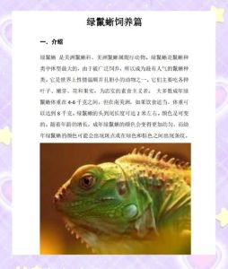 12种最适合学生养的蜥蜴_学生养迷你蜥蜴好选择，省空间易打理！