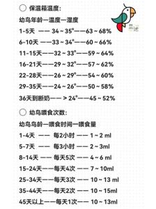 鹦鹉雏鸟一次喂多少毫升奶粉_科学喂养指南，宝宝健康成长