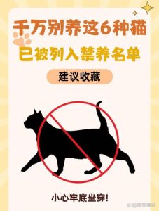 科学揭秘，为何只有大猫而无大狗？