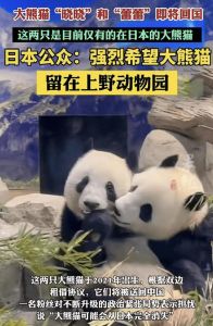 上野熊猫将归国，市民不舍告别！
