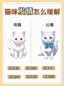 公猫打不过母猫怎么办，凶狠赶走入侵公猫