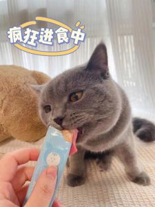 猫条几个月的猫能吃，两月小猫吃猫条指南