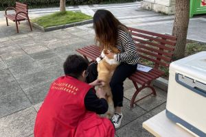 小区文明养犬图片，文明养犬，共建和谐小区