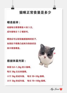 小猫十几天能吃猫条吗，母乳代乳品为主，湿粮泡软过渡，幼猫猫条零食适量