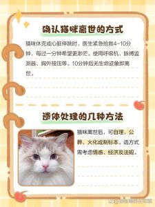 猫死了1天身体还是软能救吗，猫咪死后身体会软，不是还活着，需看心跳呼吸判断死亡处理后事，大家会难过，需慢慢走出来