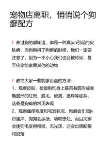 去狗癣最简单的方法，狗狗疯狂挠身？速戴伊丽莎白圈消毒隔离！