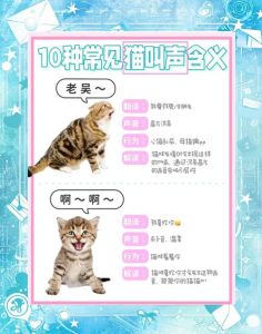 大猫找不到小猫会一直叫吗，母猫产后爱宝宝，不见了急得团团转