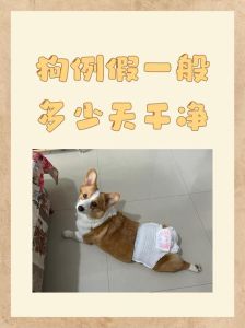 母狗露露生活日记，舅舅家温柔小狗露露，独立又贴心