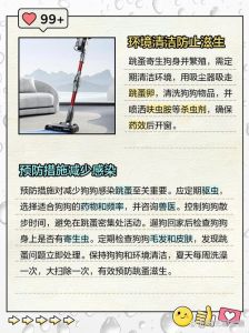 小狗有跳蚤怎么清除，跳蚤叮咬痒不停？快速搞定小吸血鬼！